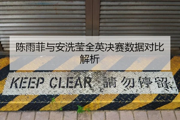 陈雨菲与安洗莹全英决赛数据对比解析